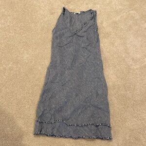 Nuthatch denim dress